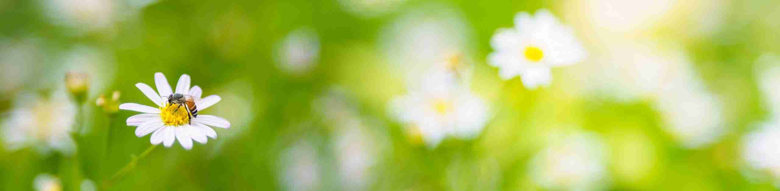 Free Initial Consultation on Litigation matters